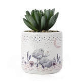Me to You - ARTIFICIAL SUCCULENT